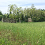 castenedolo rustico