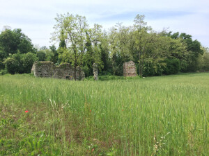 castenedolo rustico