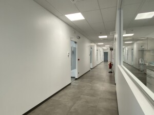 ICREMONA STUDIO DENTISTICO