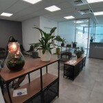 CREMONA STUDIO DENTISTICO
