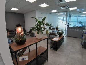 CREMONA STUDIO DENTISTICO