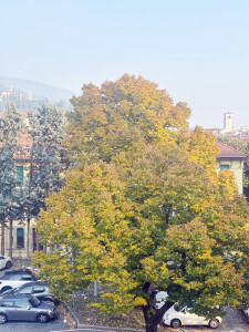 BRESCIA TRILOCALE vista 2