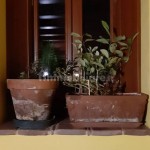 GUSSAGO TERRACIELO