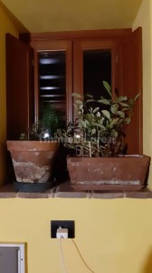 GUSSAGO TERRACIELO
