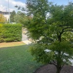 giardino bilo caste 2